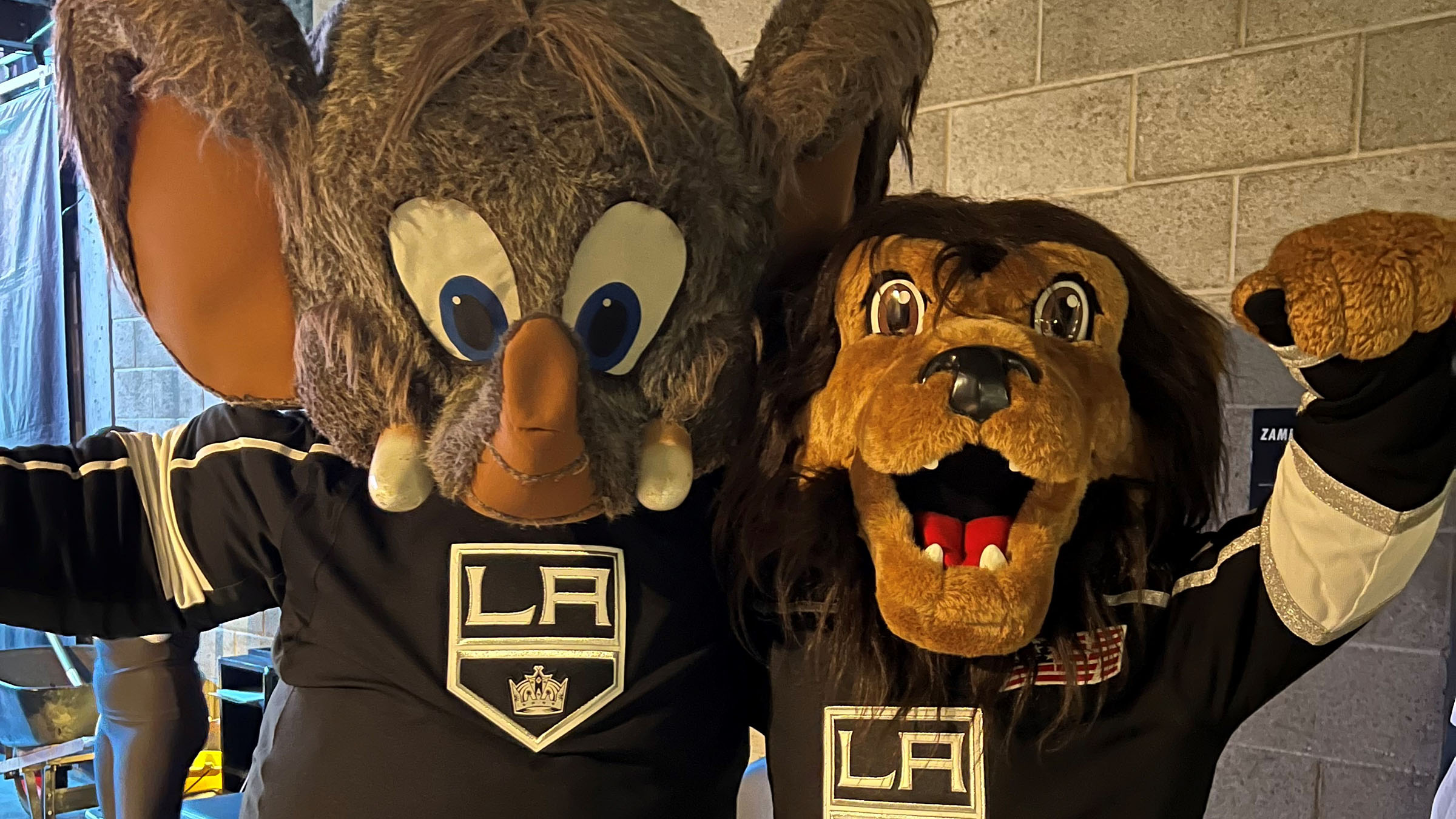 bailey la kings mascot｜TikTok Search