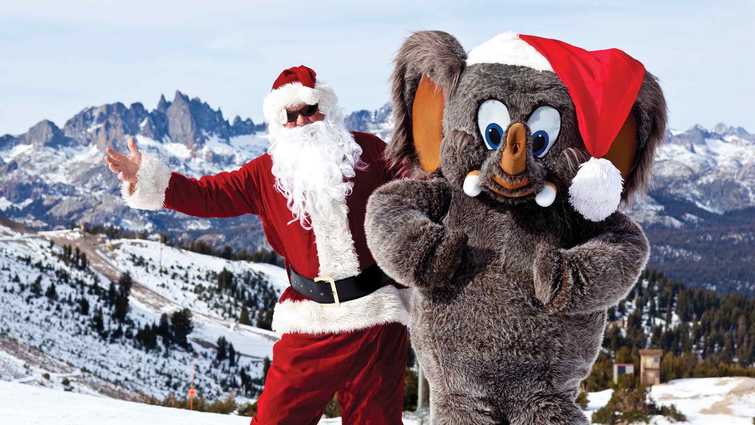 Woolly's Holiday Giveaway 2025